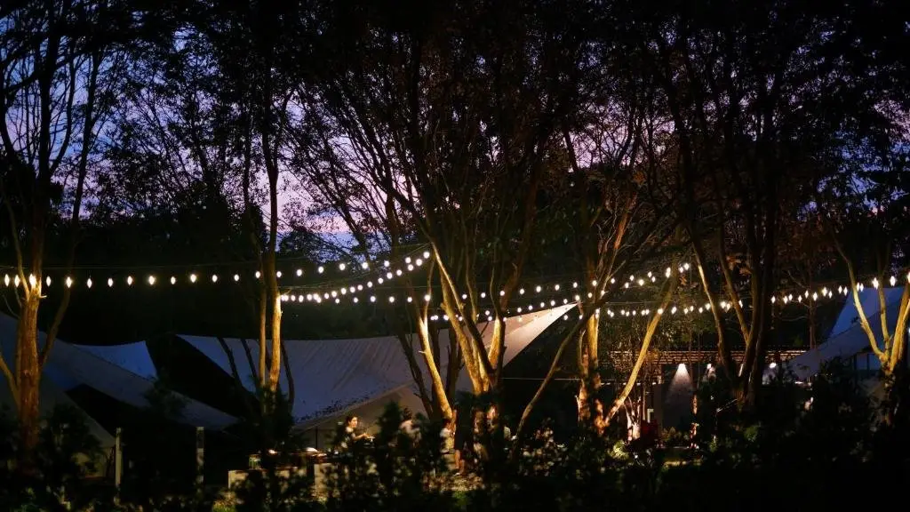 Пак-Чонг: The Wild Khao Yai - Glamping