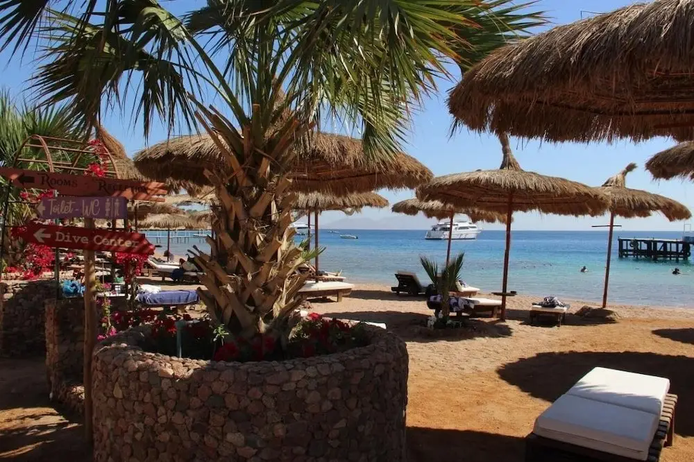 Шарм-эш-Шейх (Шарм-эль-Шейх): sunshine diving center