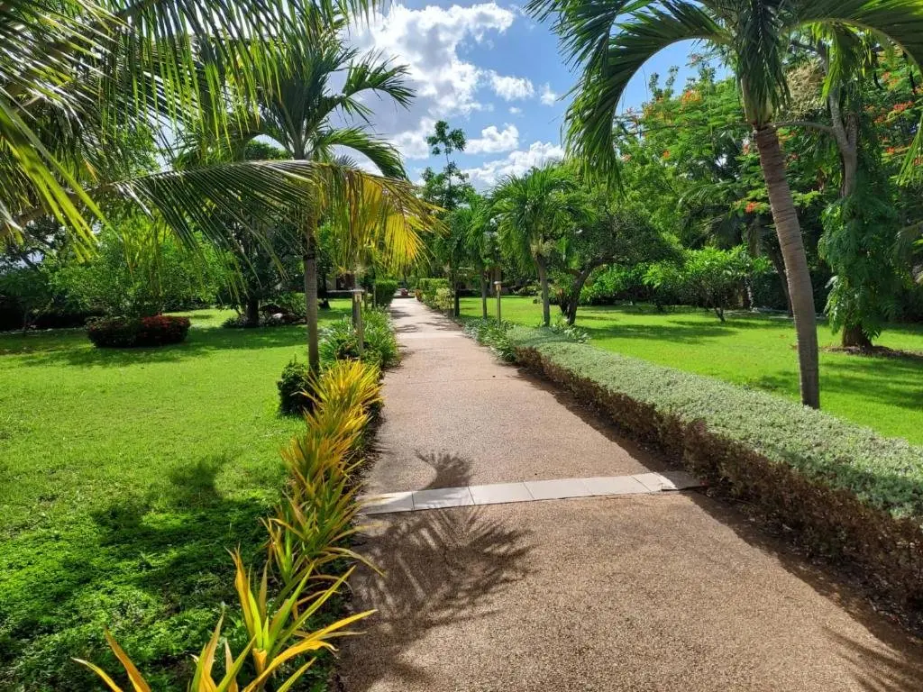 Чаам: Welcome to our Oasis The Beautiful Bungalow Yellow