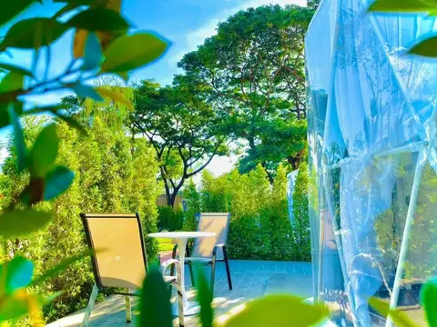 papa q suite resorts — фото 1