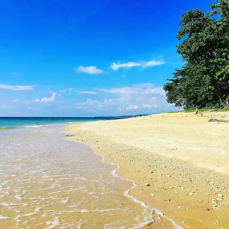 Тхаланг: 1b 39sqm Apartment Walk to Lovely Naiyang Beach