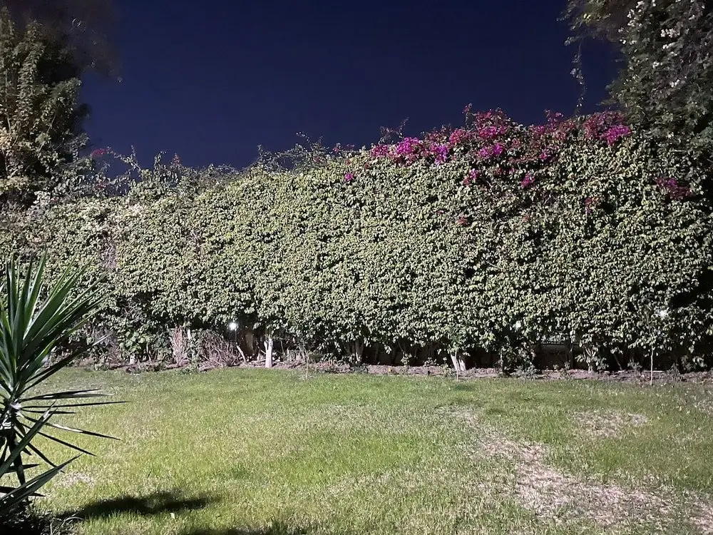 Шейх Заед Сити: Beverly hills villa with garden