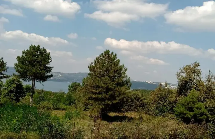 Сакарья: Fascinating Villa With Private Pool in the Heart of Nature in Sapanca