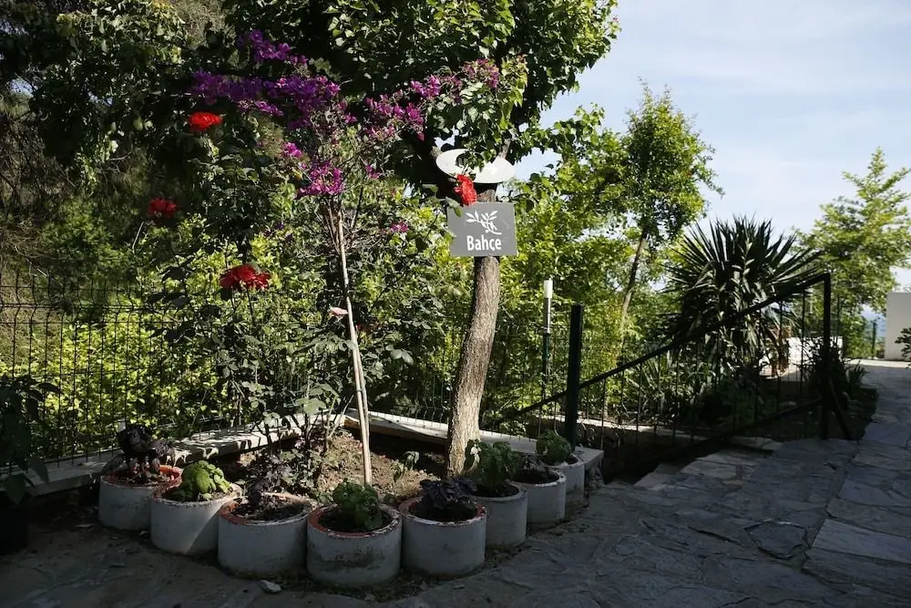 Алтынолук: Kazdagları Saglikli Yasam Tatil Koyu