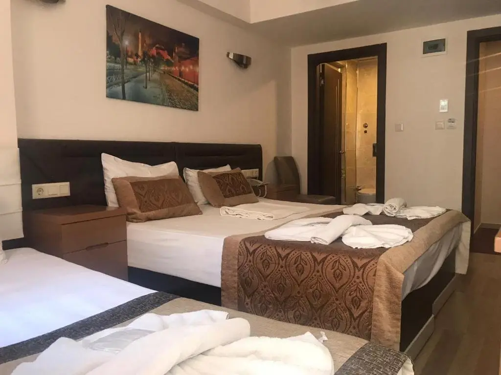 Стамбул: Sultanahmet Milan Hotel&SPA