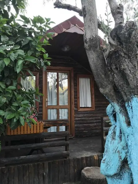 Zeytindagi Bungalow — фото 1