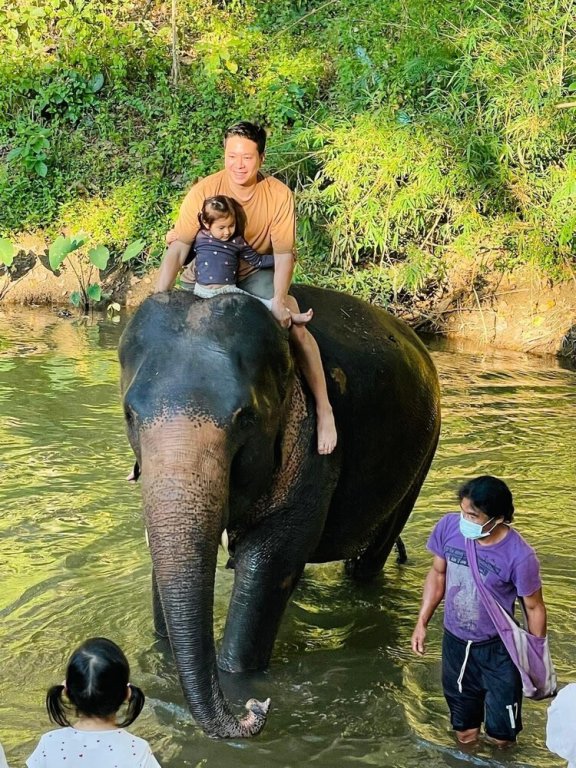 Чиангмай: 3 Pok Maiwang Elephant Hostel