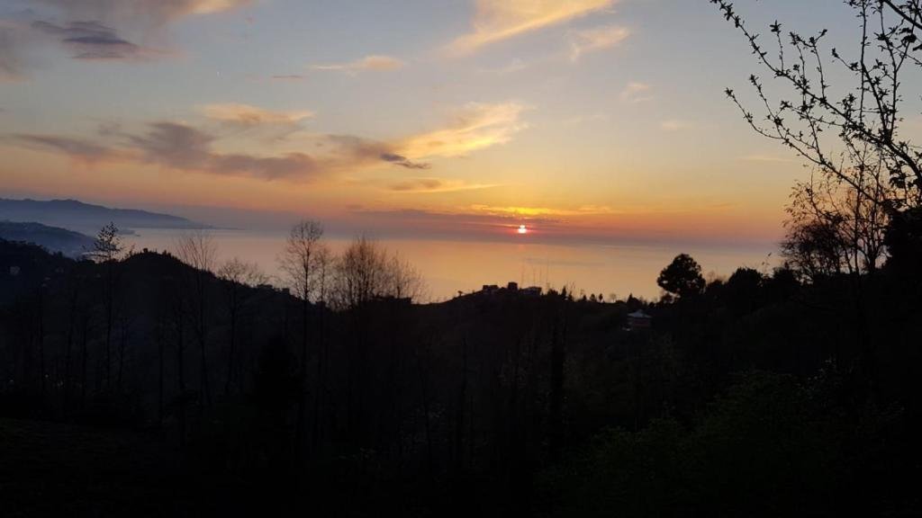 Ардешен: Flat With Magnificent View in Rize