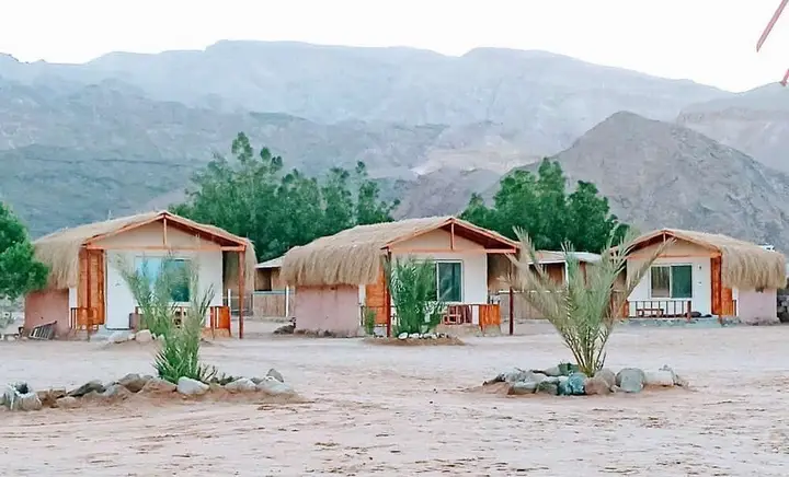 Таба: Shanty camp