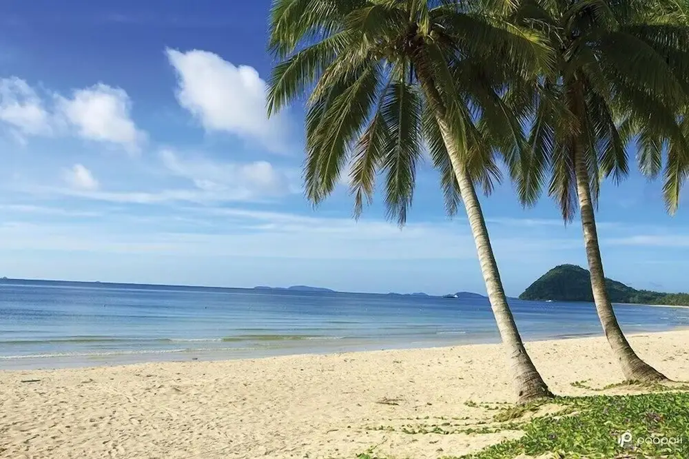 Сафли: Thungwua laen resort