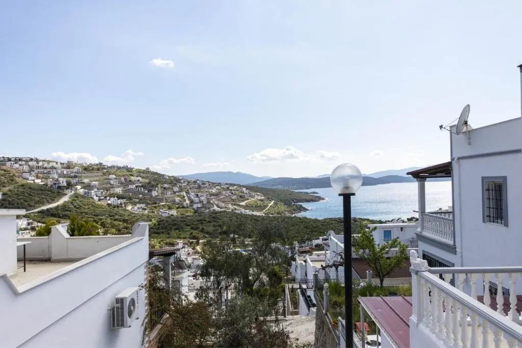 Милас: Superb Villa With Sea View in Bodrum
