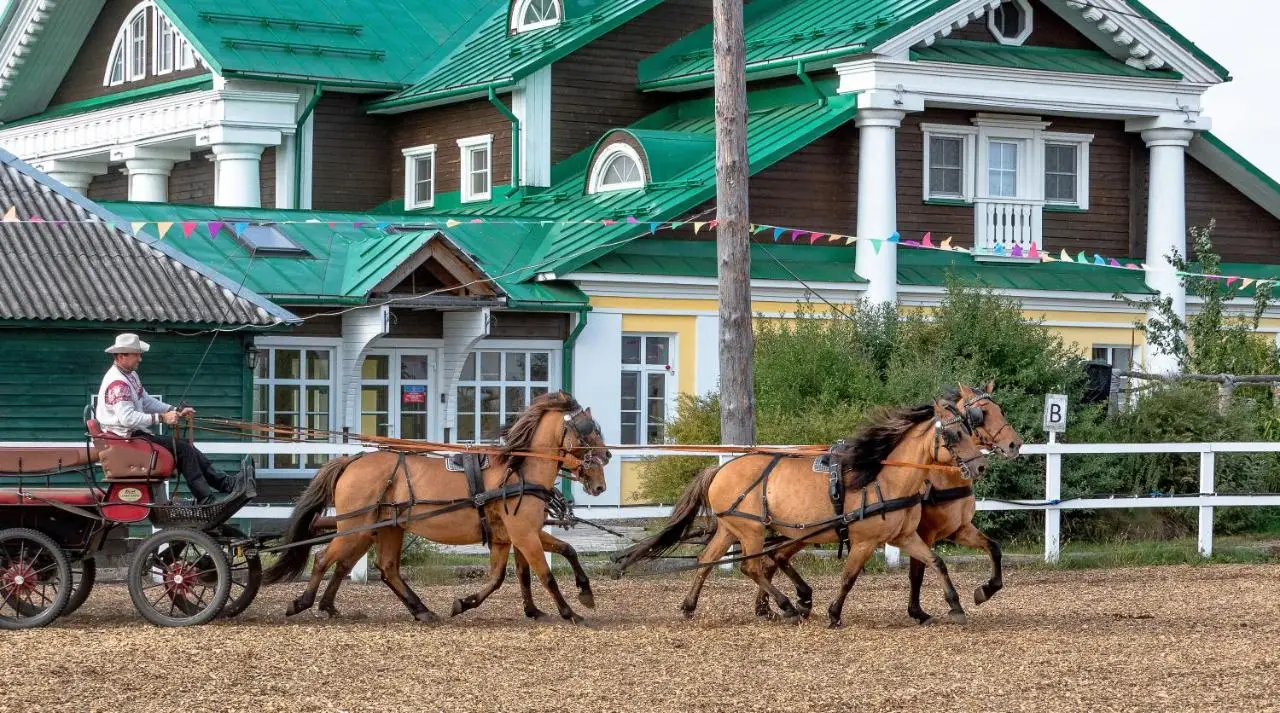 carousel image 3