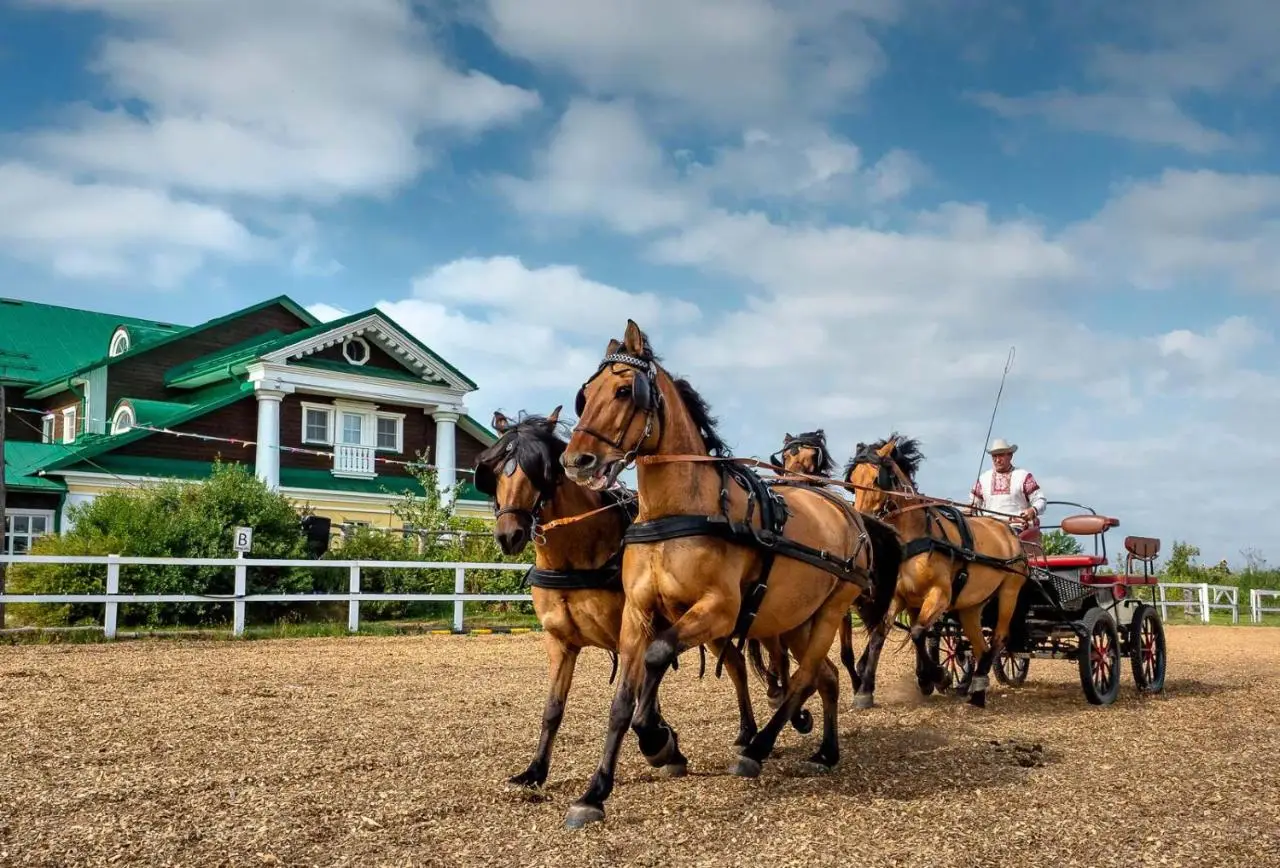 carousel image 1
