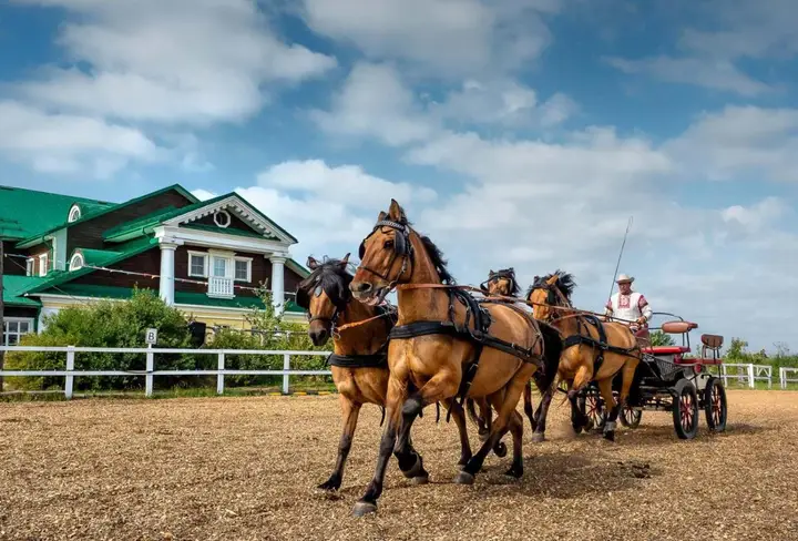 carousel image 1