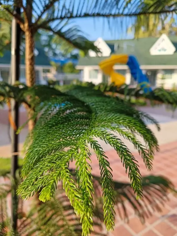 Накхонситхаммарат: English Resotel