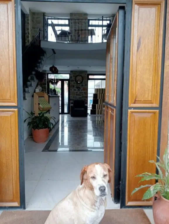 Зейтинликой: Hotel Panaya