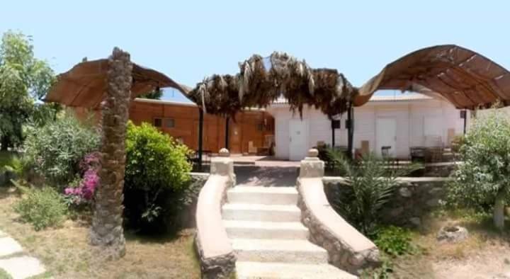 Нувейба: New Saraya Camp