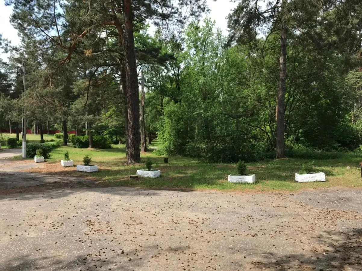 Владимир: Отель на Cосновой
