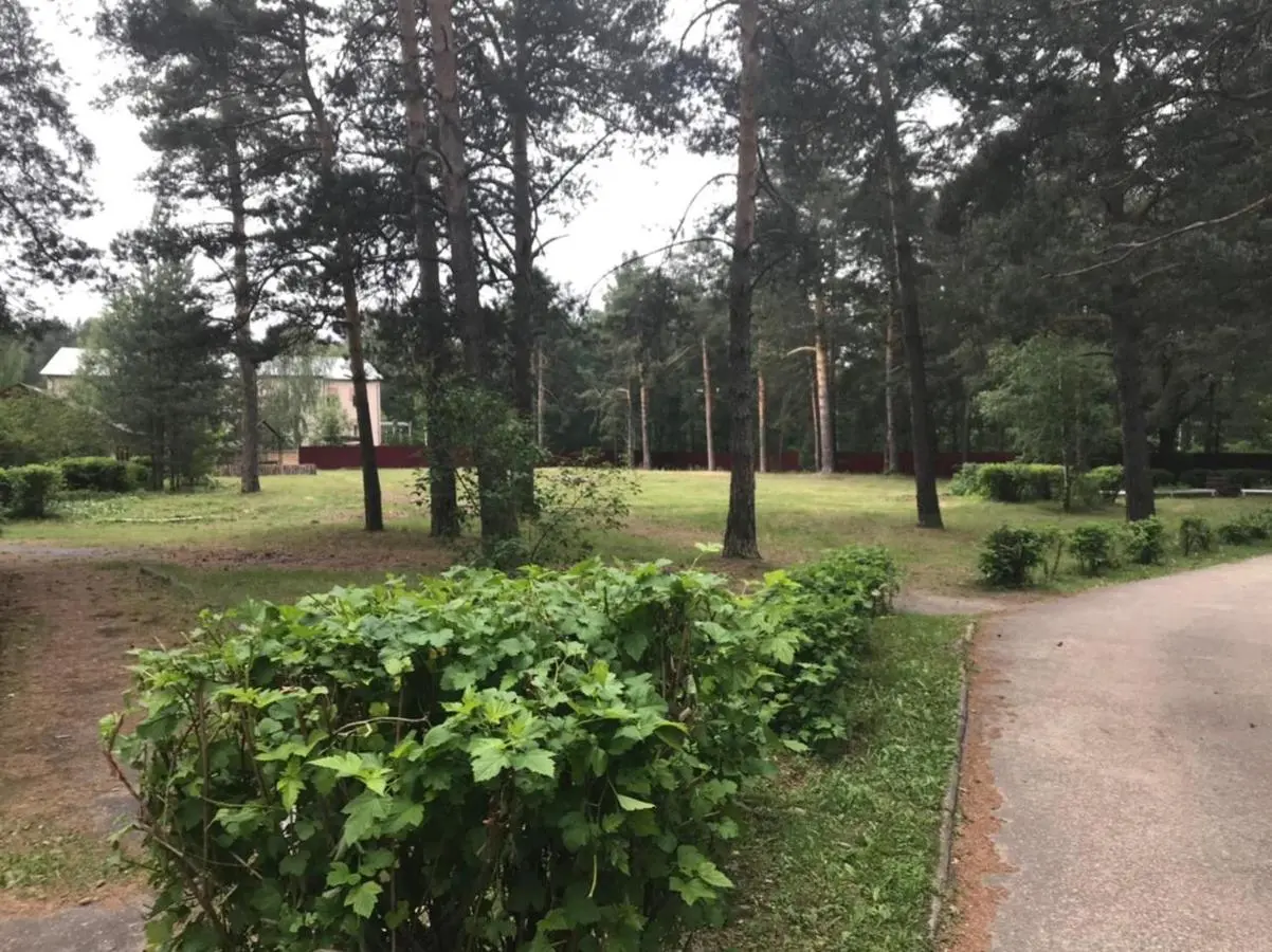 Владимир: Отель на Cосновой