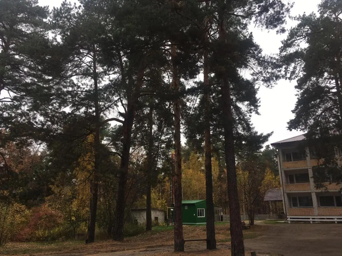 Владимир: Отель на Cосновой