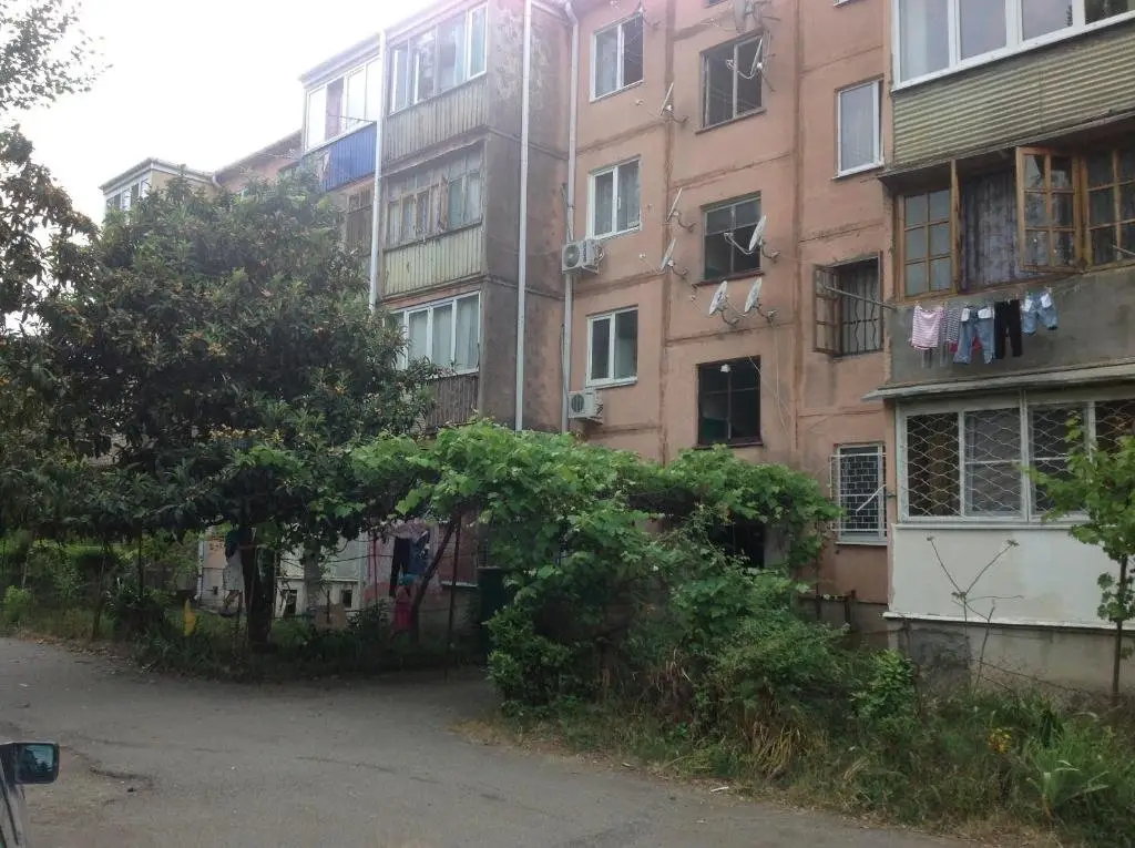 Пицунда: Apartment in Pizunda