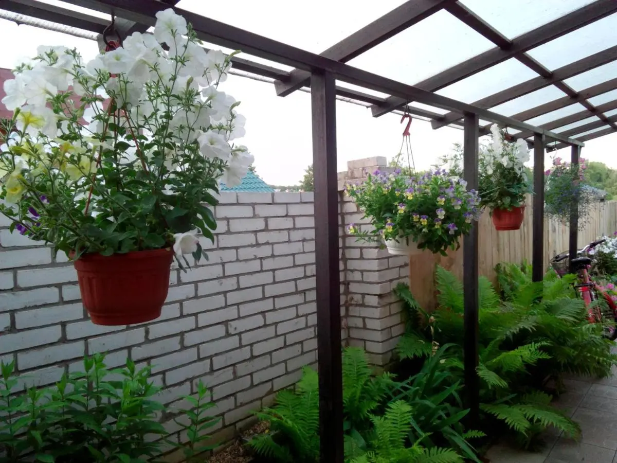 Суздаль: Guest House On Pokrovskaya