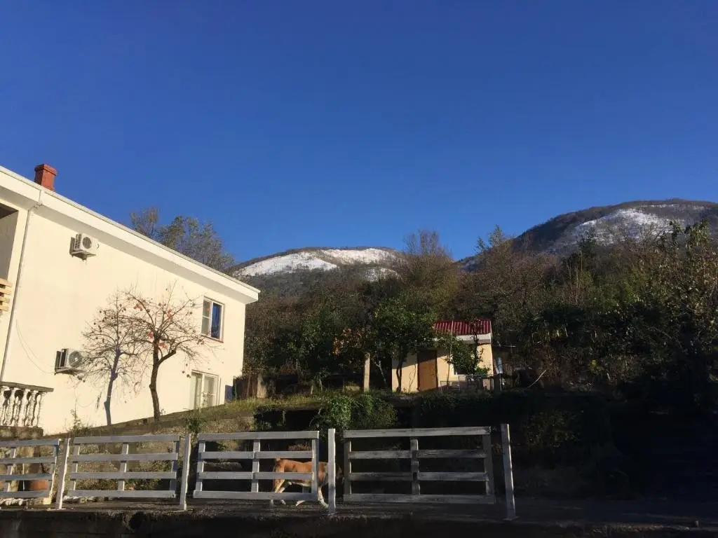 Гагра: Holiday Home Otradnoye