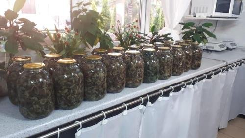 Цандрыпш: Park-hotel Abkhazia