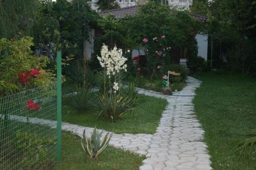 Золотая бухта: Guesthouse Asya