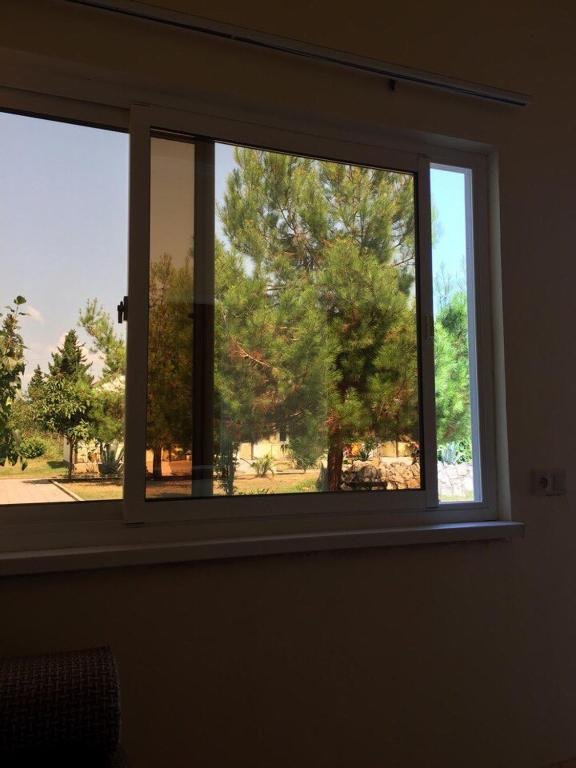Пицунда: Mini Hotel Agrba 1A