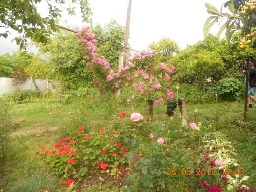 Верхняя Эшера: Guest house na Myasnikova
