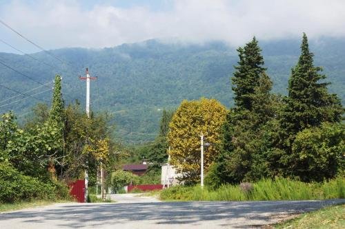 Верхняя Эшера: Guest house on Shaumyana