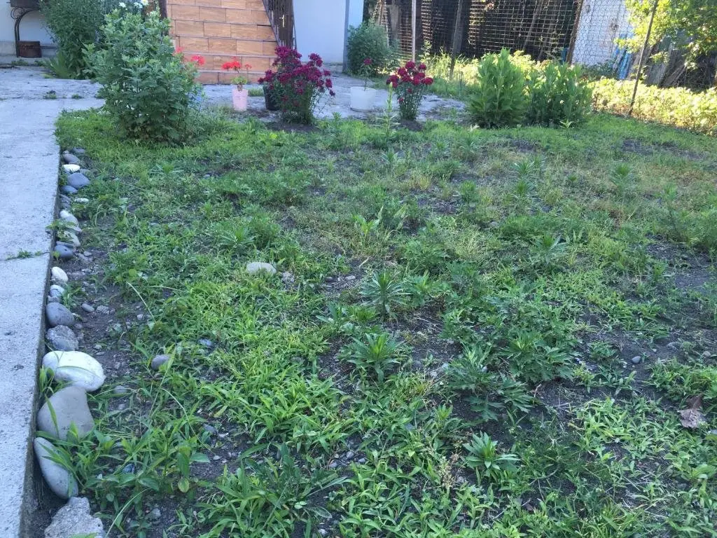 Сухум: Mayak Apartment