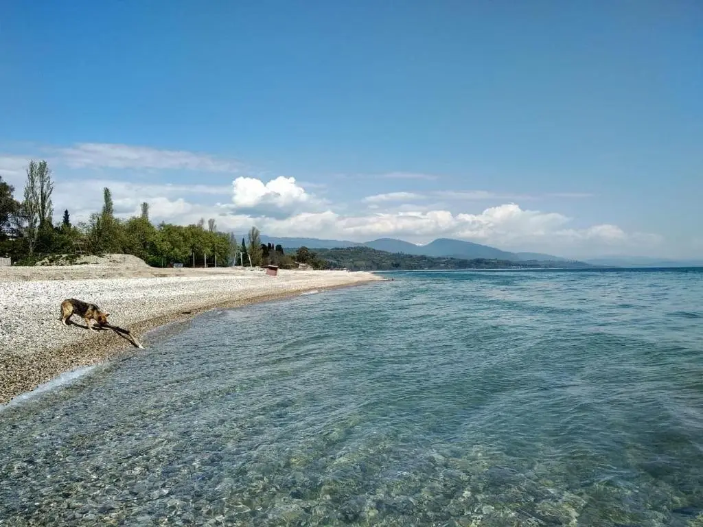 Гудаута: Guest House u Larisy