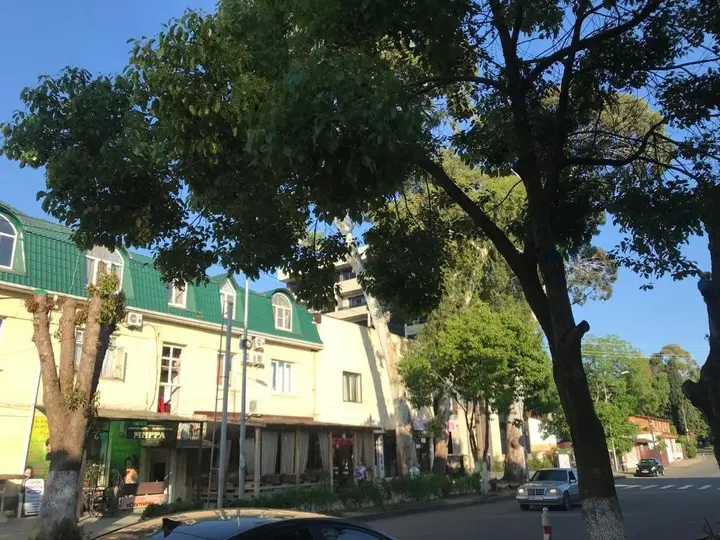 Гагра: Apartment on Ardzinba 235