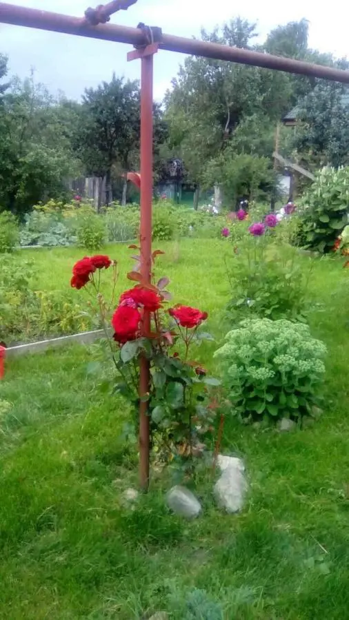 Суздаль: Nadezhda