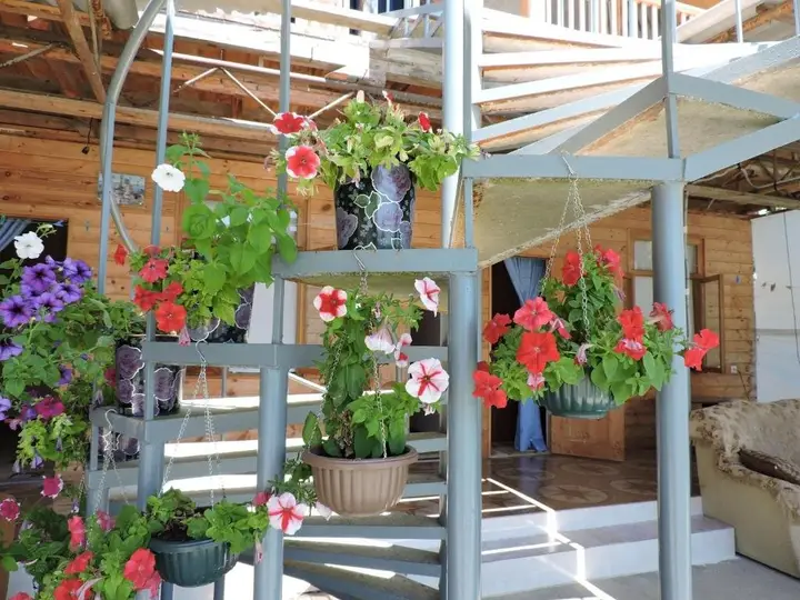 Новый Афон: Guesthouse U Moti