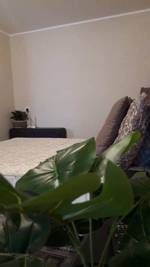 Владимир: Apartment on Lenina