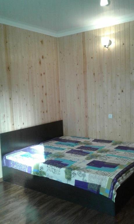 Гагра: Guesthouse on Ulitsa Abazgaa 65/3
