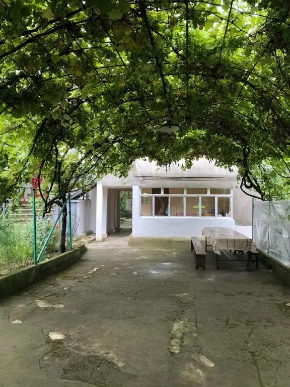 Гагра: Guesthouse on Chanba 36