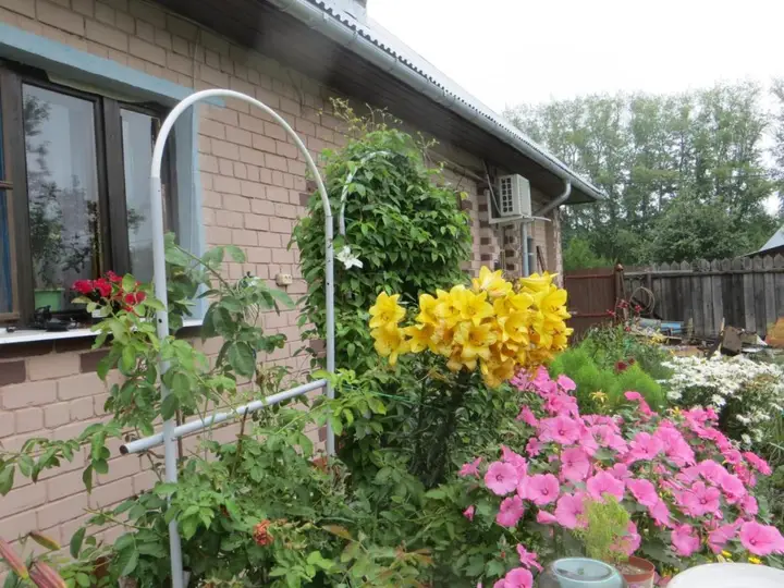 Суздаль: Guest House Valentain