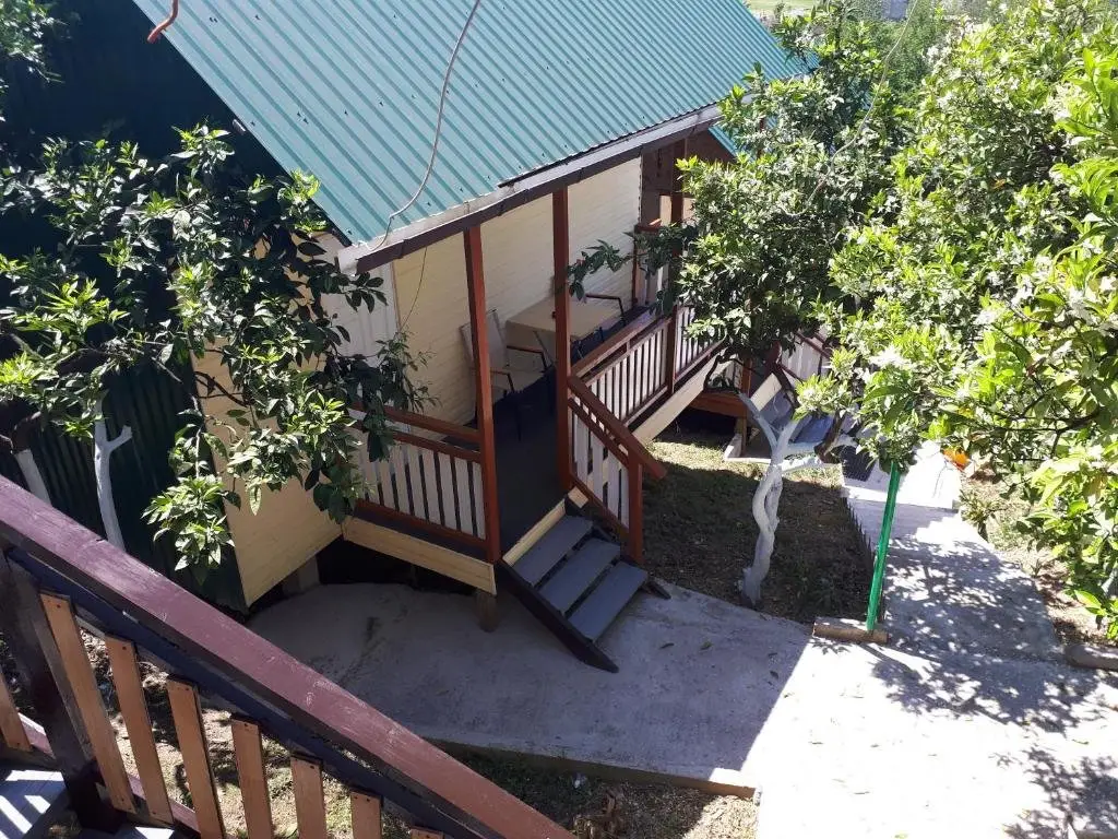 Новый Афон: Guest House Mandarinoviy Rai