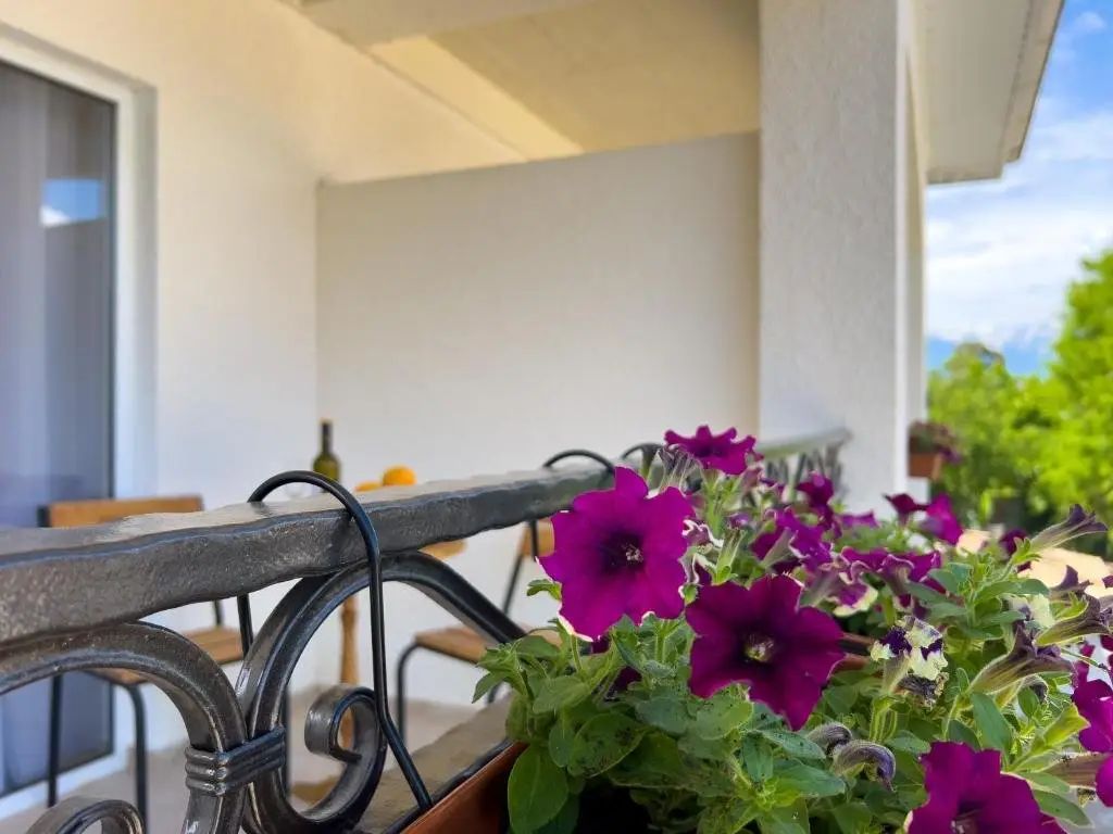 Гудаута: Guest House Nartaa