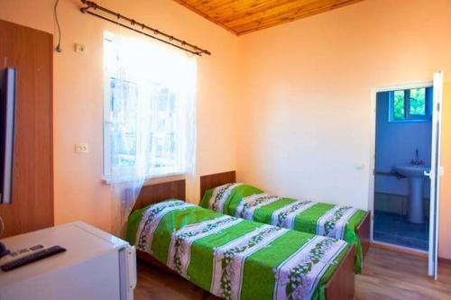 Гагра: Guest house Delfin