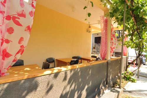 Гагра: Guest house Delfin