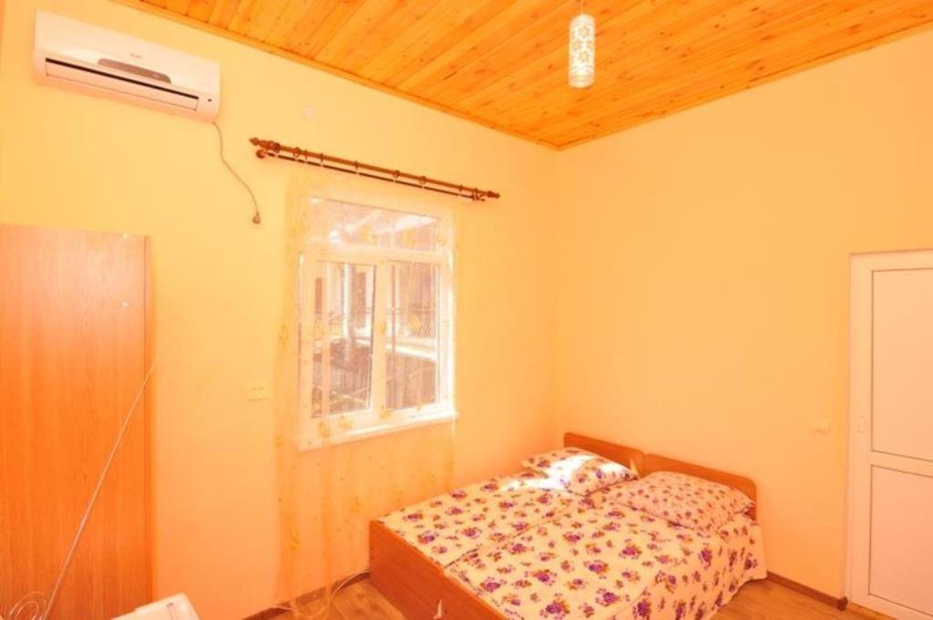 Гагра: Guest house Delfin