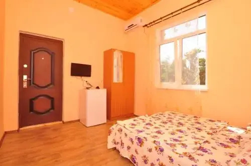 Гагра: Guest house Delfin