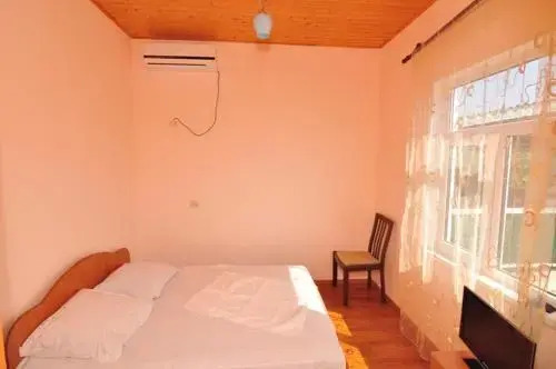 Гагра: Guest house Delfin