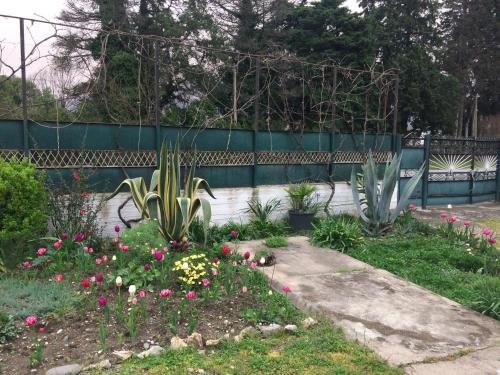 Алахадзи: Guest House on Lenina 61a