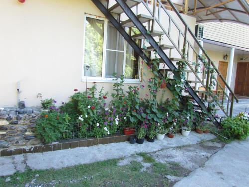 Сухум: Guest House Stella